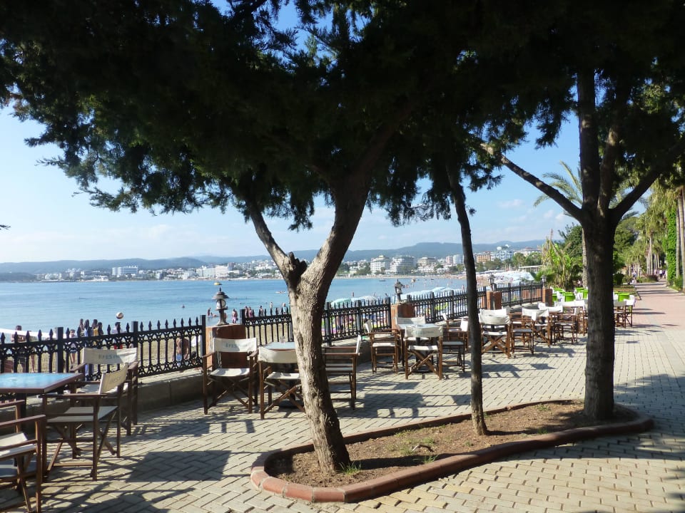 Sehr gepflegte Anlage Lonicera Resort & Spa Hotel