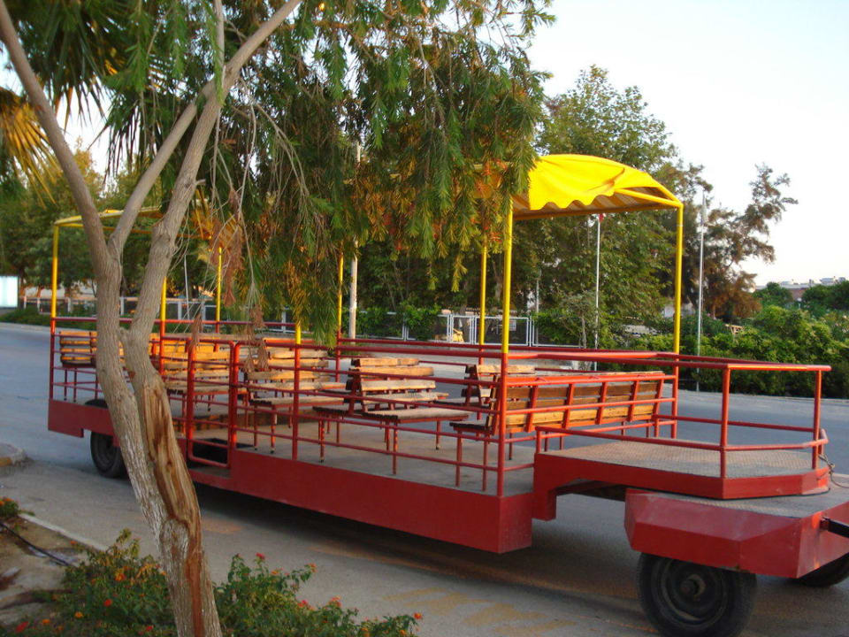 Shuttle Service Dream Family Club