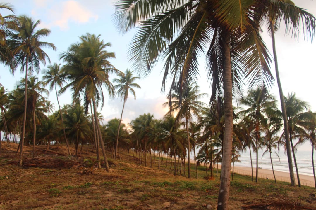 Einfach schön Grand Palladium Imbassai Resort & Spa