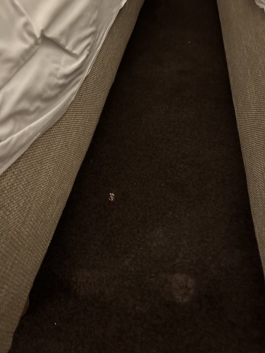 Zimmer H+ Hotel Bad Soden