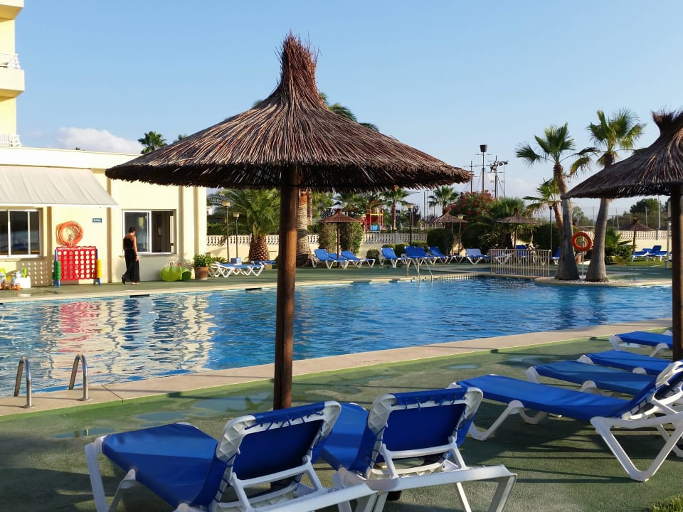 Poolblick Grupotel Amapola