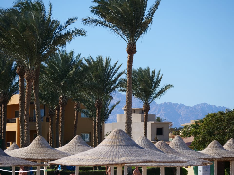 Ausblick Stella Beach Resort & Spa Makadi Bay