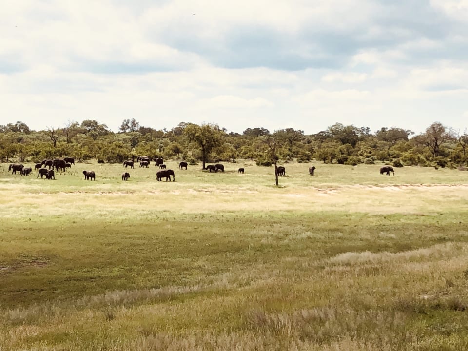 Ausblick Hotel Arathusa Safari Lodge