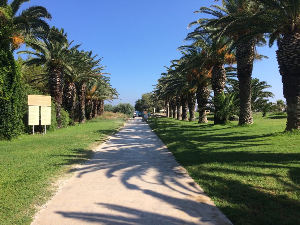 Gartenanlage Caravia Beach Hotel