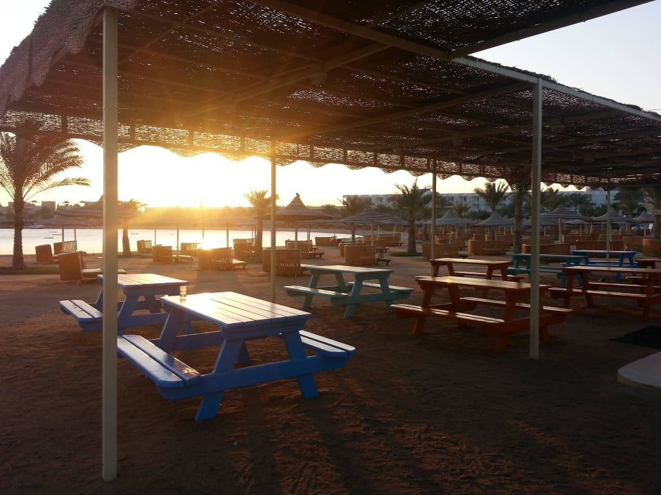 Strandbar Desert Rose