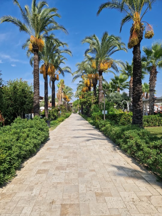 Gartenanlage Calimera Serra Palace