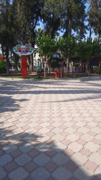 Sport & Freizeit Kamelya Aishen Club