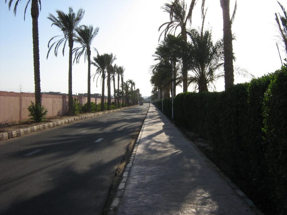 Weg zum Strand Pickalbatros Alf Leila Wa Leila Resort - Neverland Hurghada