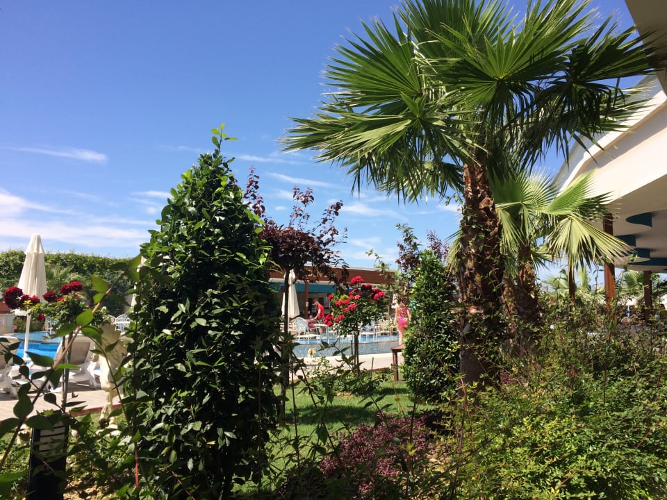 Gartenanlage Dream World Aqua Hotel