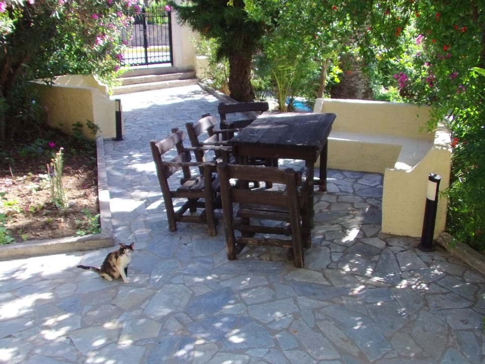 Gartenanlage Lili Hotel