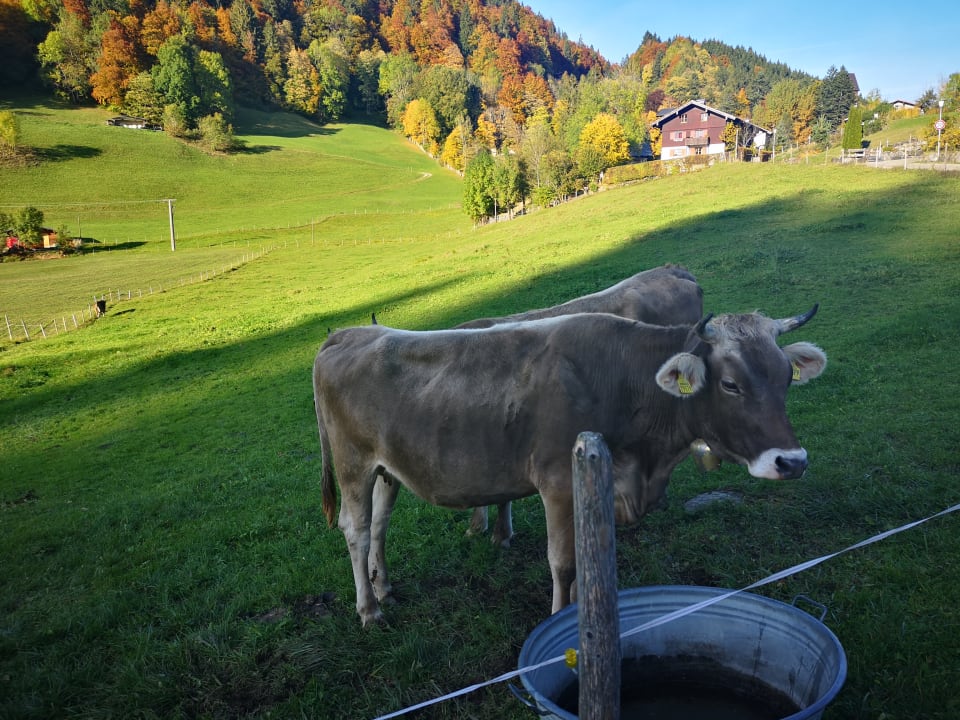 Sonstiges Hotel Bergruh