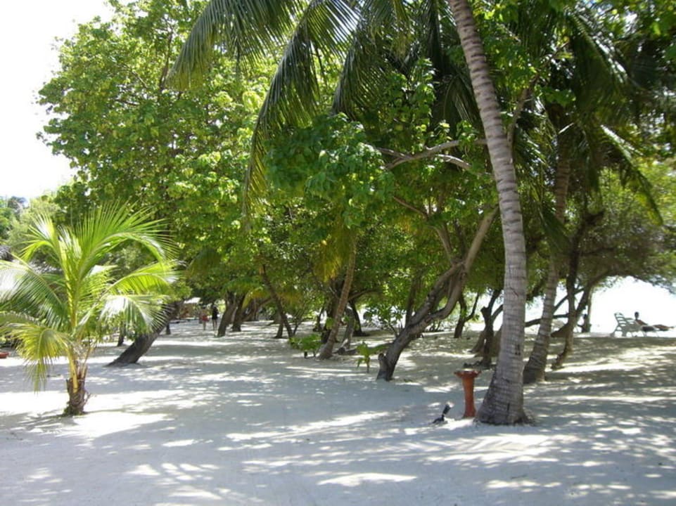 Weg zwischen Bungis und Strand Adaaran Select Hudhuran Fushi - Premium All Inclusive