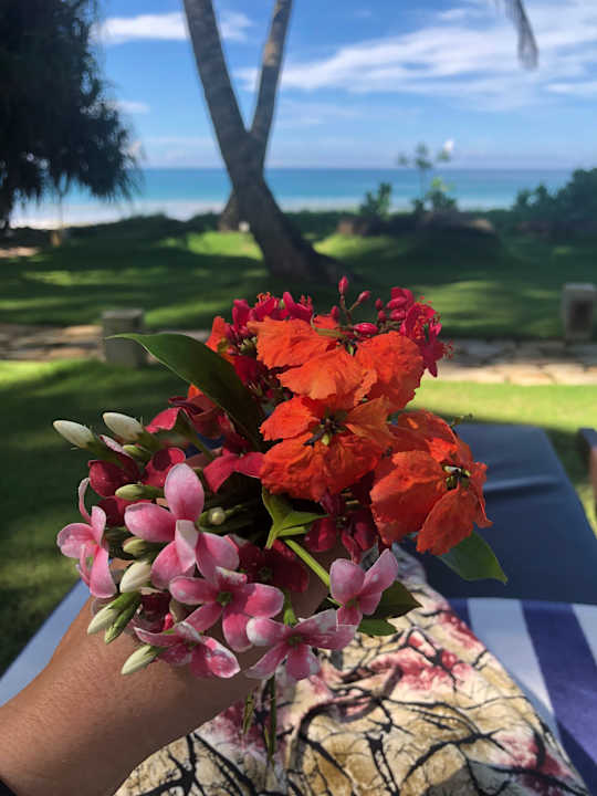 Gartenanlage The Rockwall Boutique Hotel Bentota