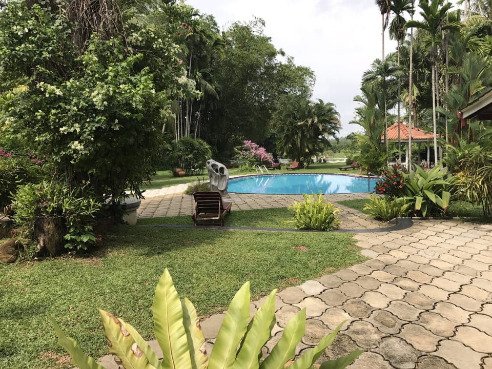 Pool Ayubowan Swiss Lanka Bungalow Resort