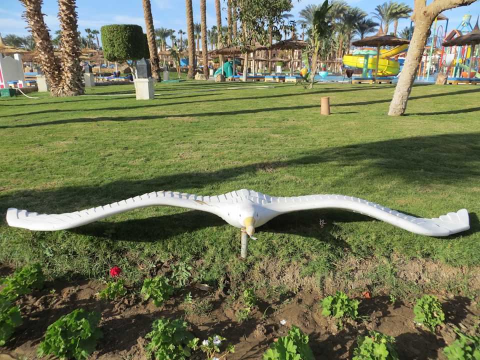 Gelandet Beach Albatros Resort