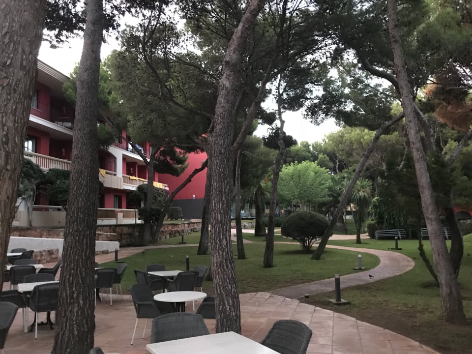 Gartenanlage allsun Hotel Illot Park