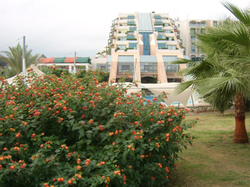 Limra Limak Limra Hotel & Resort