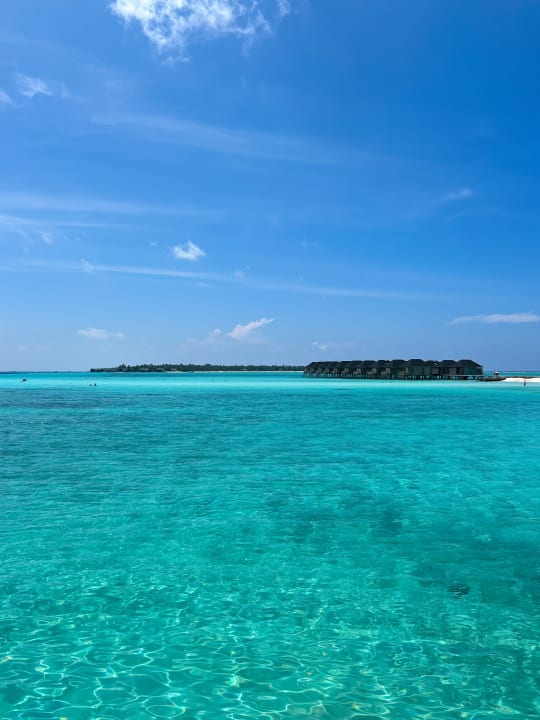 Strand Summer Island Maldives