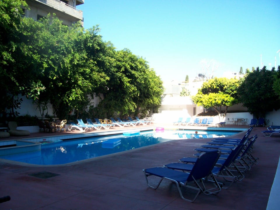 Pool am Morgen Porto Plazza Hotel