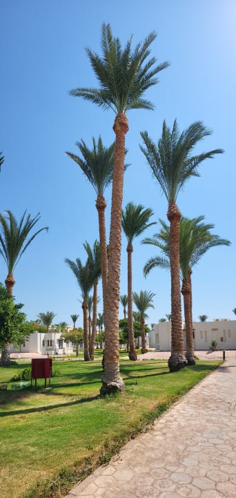 Gartenanlage Pharaoh Azur Resort