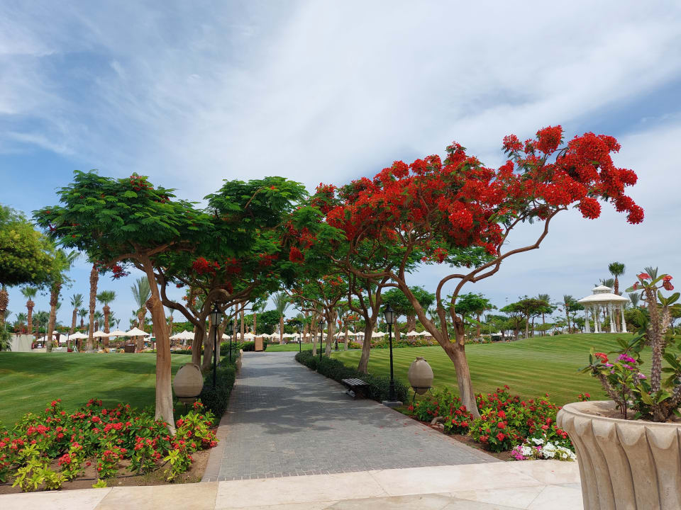 Gartenanlage Steigenberger ALDAU Beach Hotel