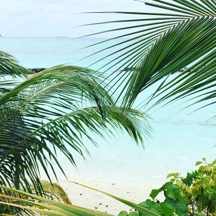 Strand Summer Island Maldives