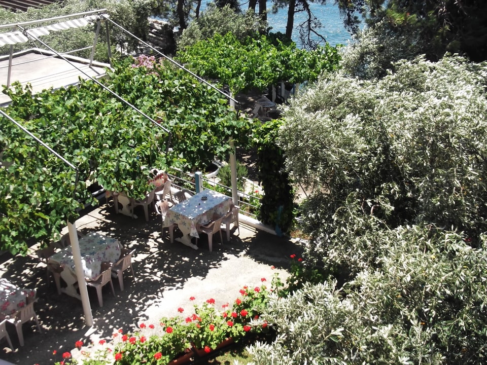 Garden Gorgona Rooms