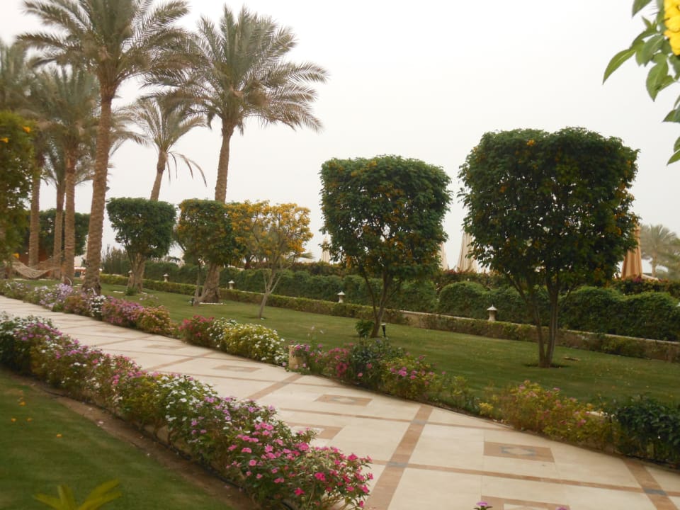 Ausblick vom Zimmer zum Pool Premier Le Reve Hotel & Spa