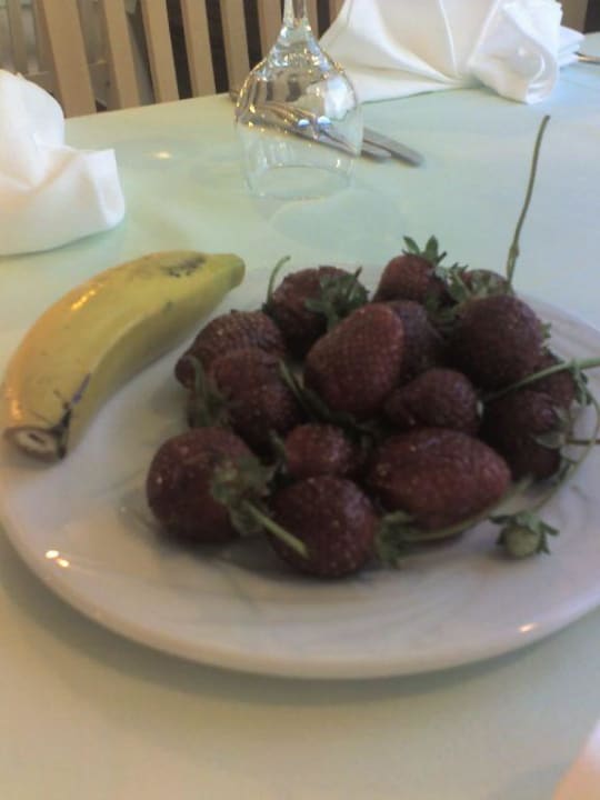 Immer leckere Erdbeeren PALOMA Perissia