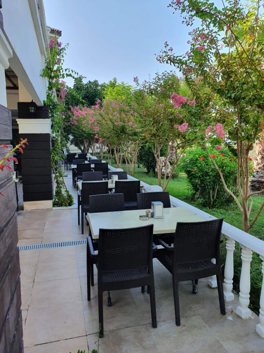 Gastro Alba Queen Hotel