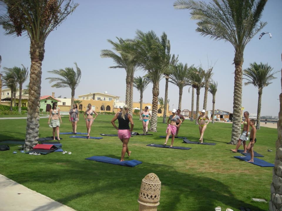 Утренняя зарядка под пальмами Stella Beach Resort & Spa Makadi Bay