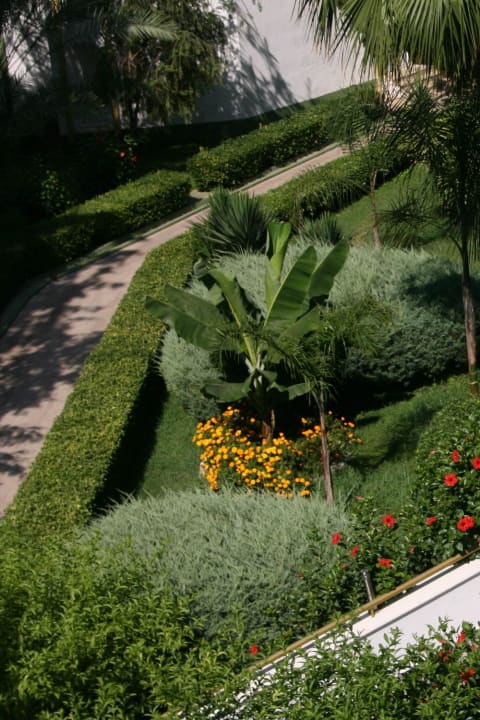 Вид из лифта Botanik Hotel & Resort