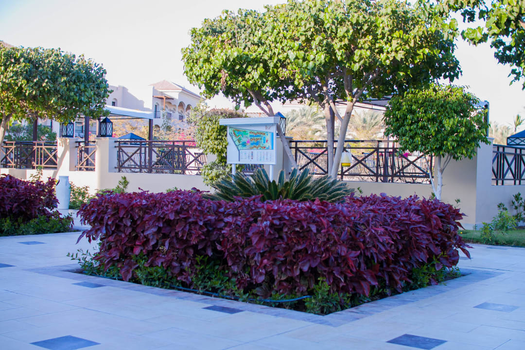 Клумба с растениями JAZ Aquamarine Resort