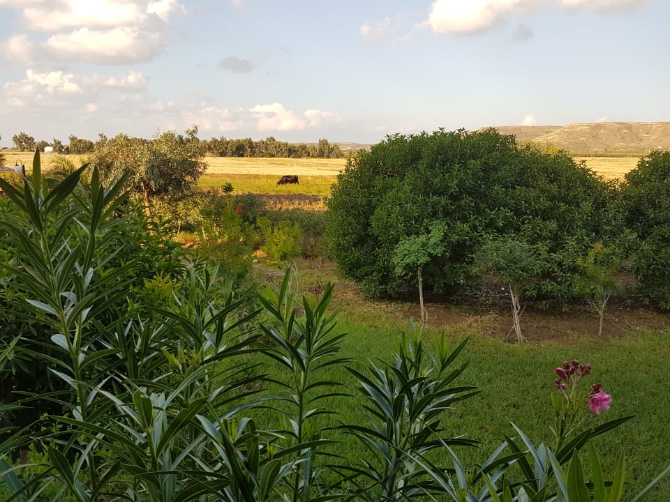 Ausblick Kalimera Mare