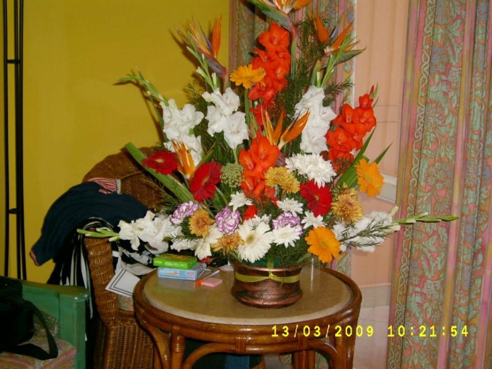 Geburtstags-Blumen  Giftun Azur Resort