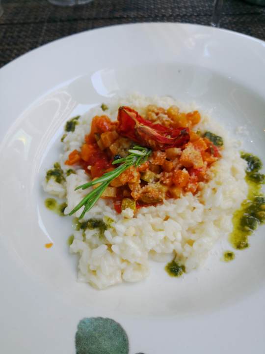 Gastro Acanthus Cennet Barut Collection