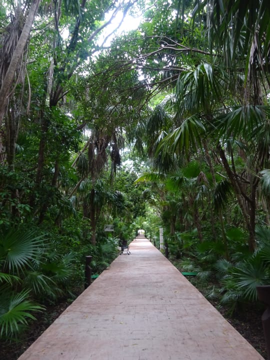 Gartenanlage Catalonia Playa Maroma