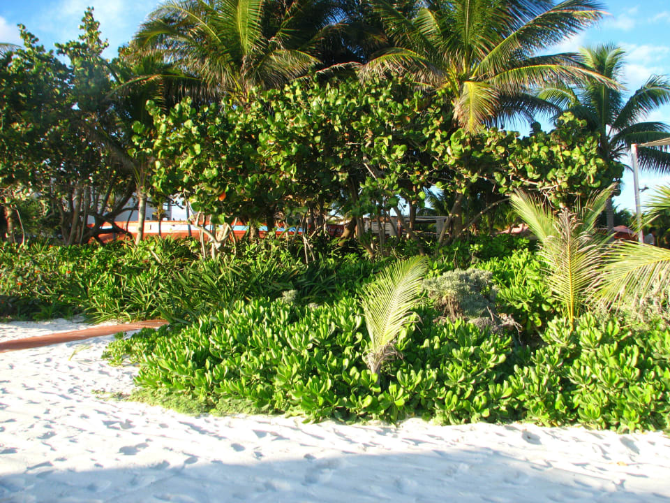 Strandzugang für Rollstuhlfahrer Catalonia Playa Maroma