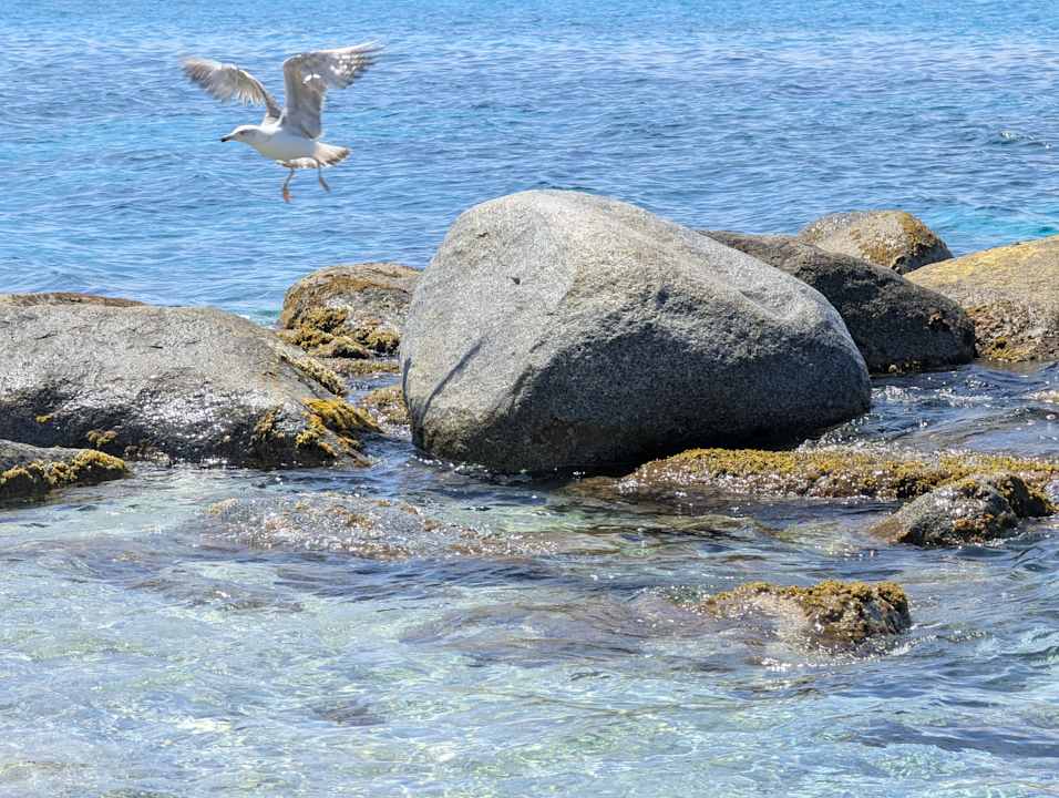 Strand Hotel Villaggio Il Gabbiano