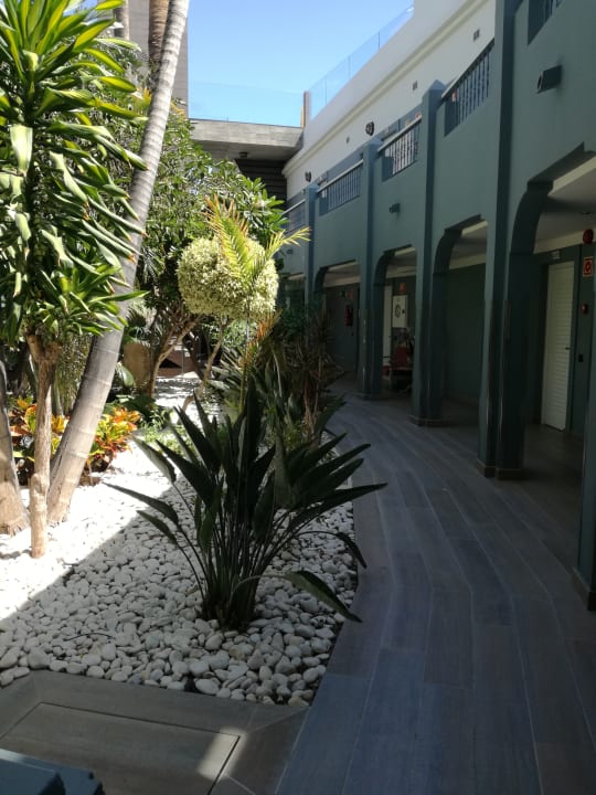 Gartenanlage Adrián Hoteles Colón Guanahaní - Adults only