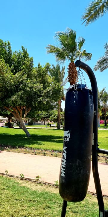 Sport & Freizeit Desert Rose