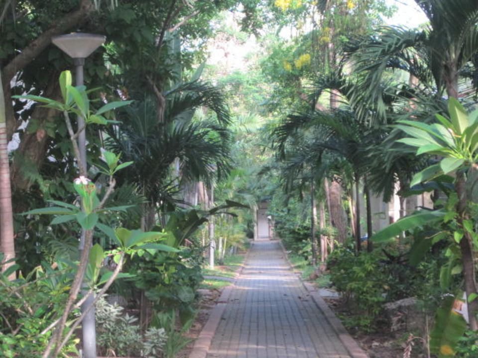 Netter Garten Pattaya Garden Resort