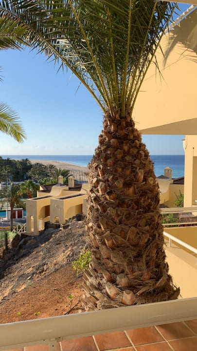 Ausblick Hotel Riu Palace Jandia