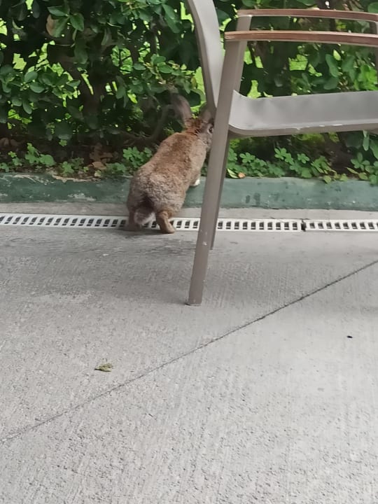 Sonstiges Labranda Alantur Resort