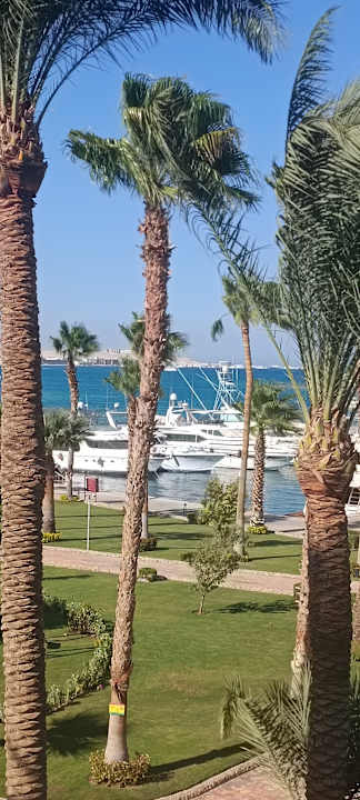 Gartenanlage Continental Hotel Hurghada