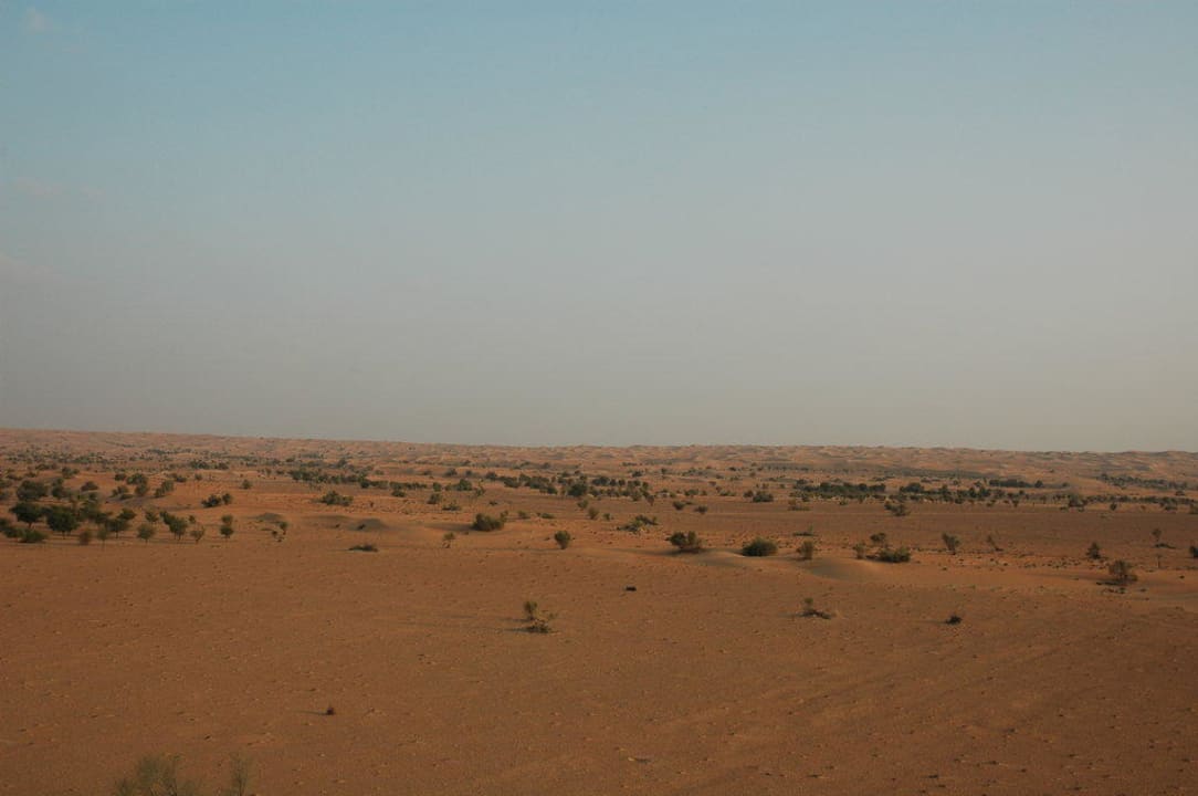 Ausblick von der Terrasse der Hauptgebäudes Al Maha, A Luxury Collection Desert Resort & Spa