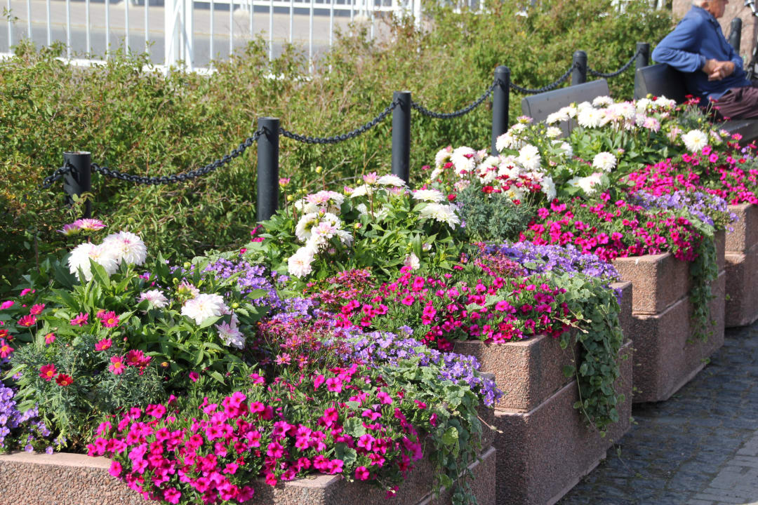 Gartenanlage Scandic Oulu Station