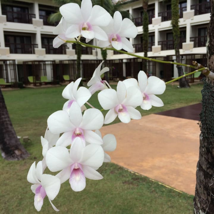 Liebevolle Details The Briza Beach Resort Khaolak