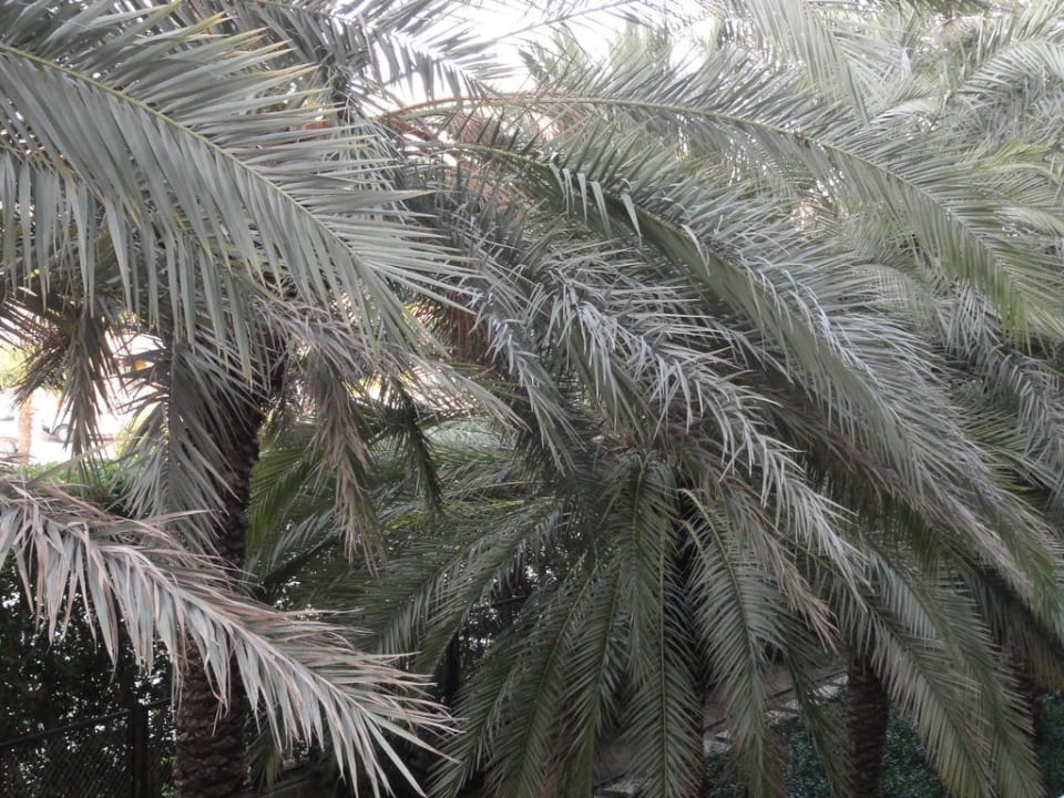 Blick vom Zimmer 874 Side Star Elegance