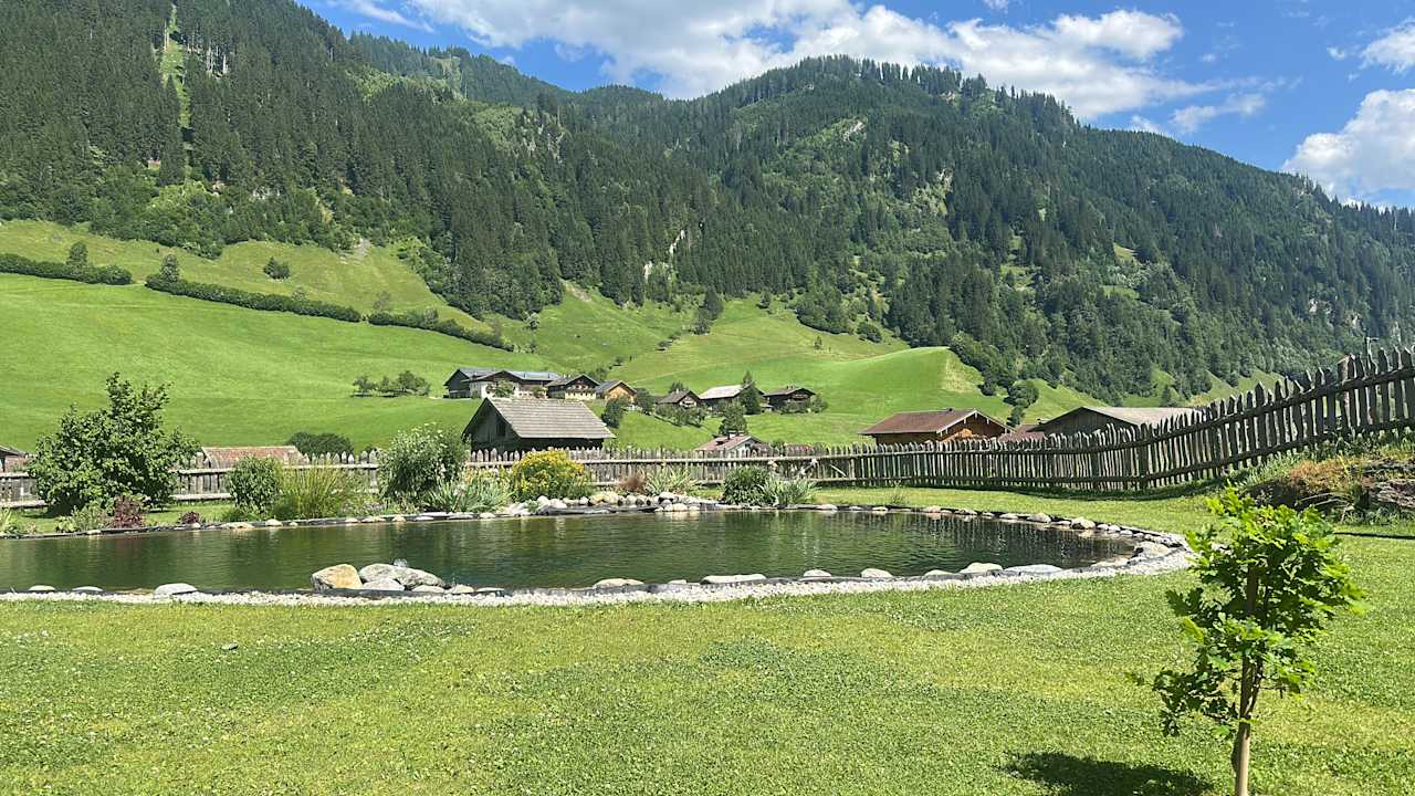 Pool Hotel Schmiedhof